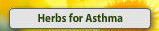 Herbs for Asthma: Asthma Herbal Remedies